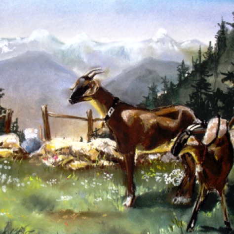 Swiss Goats
18x24